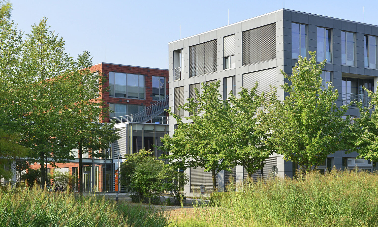 Die Gebäudeteile sind durch abwechslungsreich gestaltete Grünflächen verbunden.